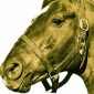 Horseracing