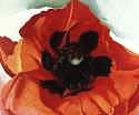 Georgia O'Keeffe's poppies