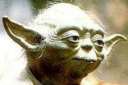 Yoda